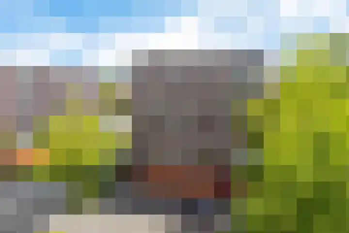 De Wiekslag 3 403 Sneek thumbnail 43