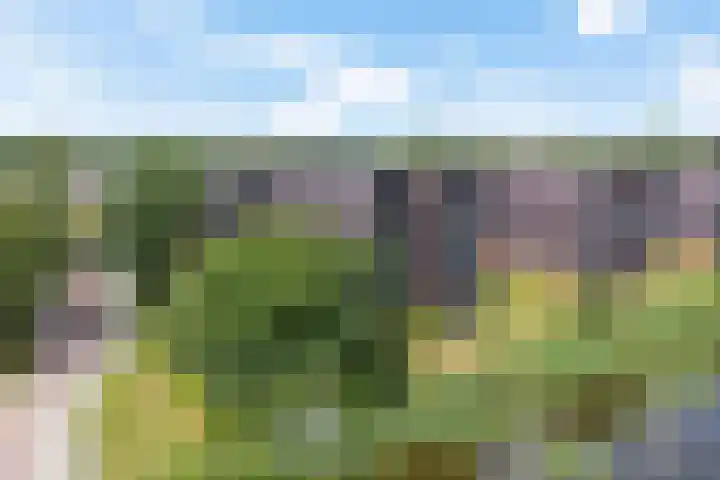 De Wiekslag 3 403 Sneek thumbnail 44