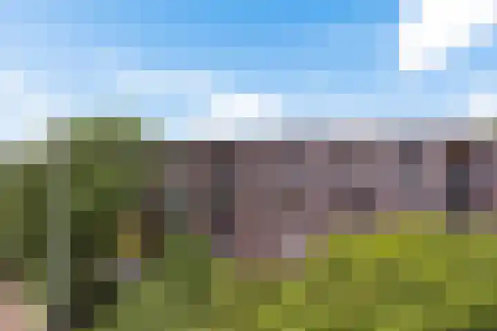 De Wiekslag 3 403 Sneek thumbnail 45