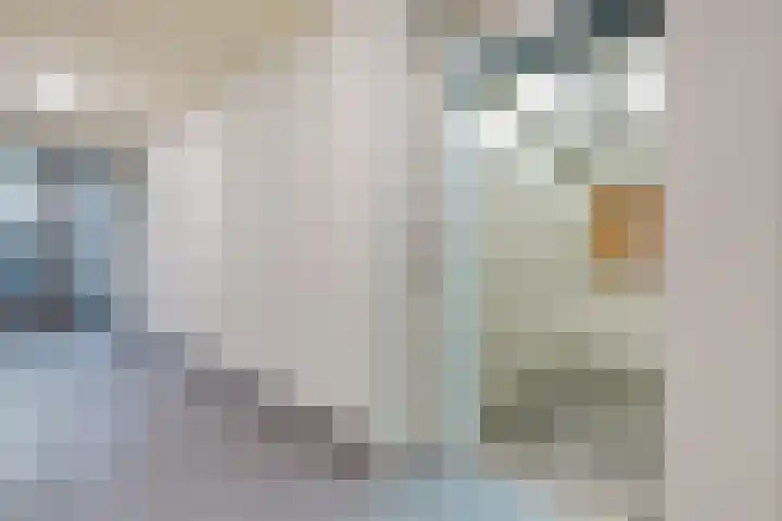 De Wiekslag 3 403 Sneek thumbnail 5