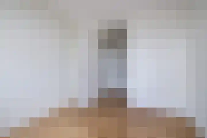 De Wiekslag 3 403 Sneek thumbnail 9