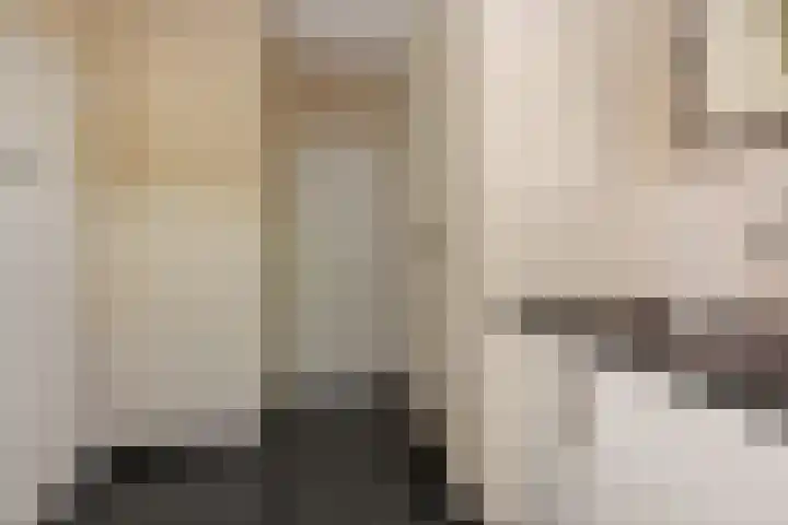 De Wiel 1 Geffen thumbnail 14