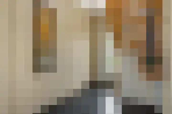 De Wiel 1 Geffen thumbnail 17