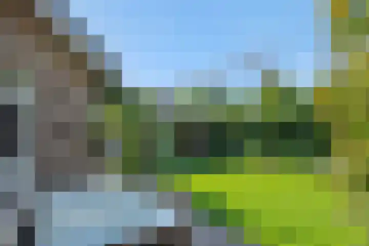 De Wiel 1 Geffen thumbnail 40