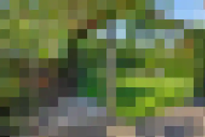 De Wiel 1 Geffen thumbnail 42