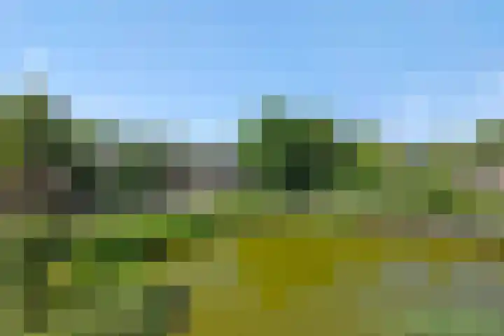 De Wiel 1 Geffen thumbnail 52