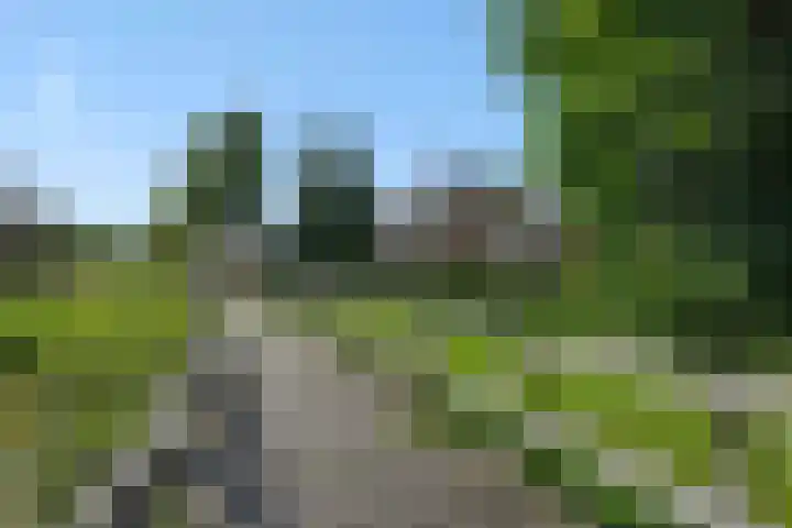 De Wiel 1 Geffen thumbnail 54