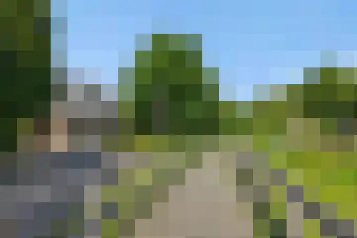 De Wiel 1 Geffen thumbnail 56