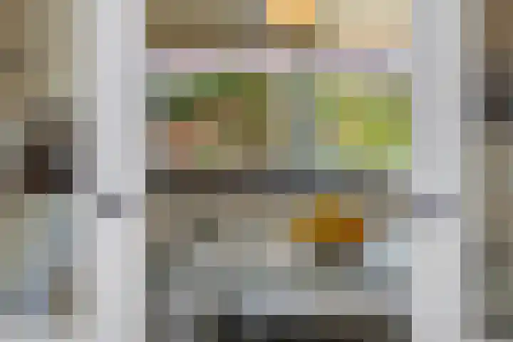 De Wiel 1 Geffen thumbnail 8