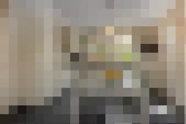 De Wiel 1 Geffen thumbnail 9