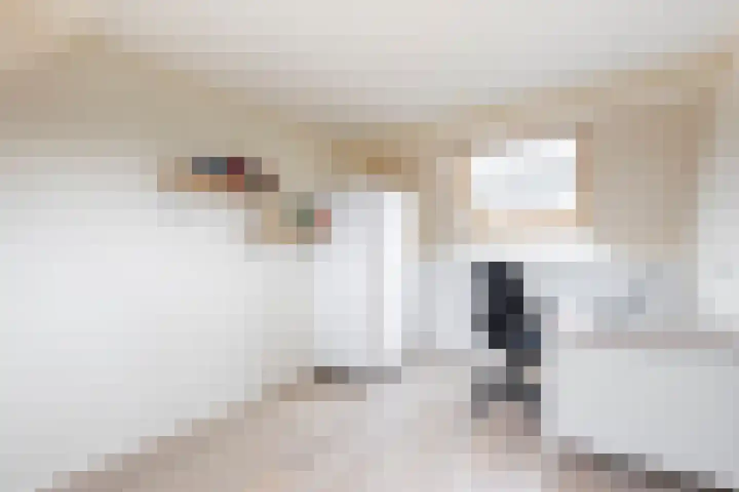 De Wiel 1 Sliedrecht thumbnail 17