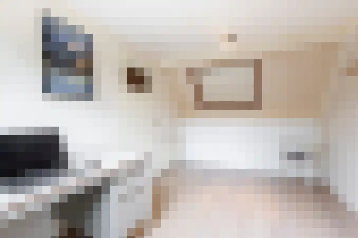 De Wiel 1 Sliedrecht thumbnail 18