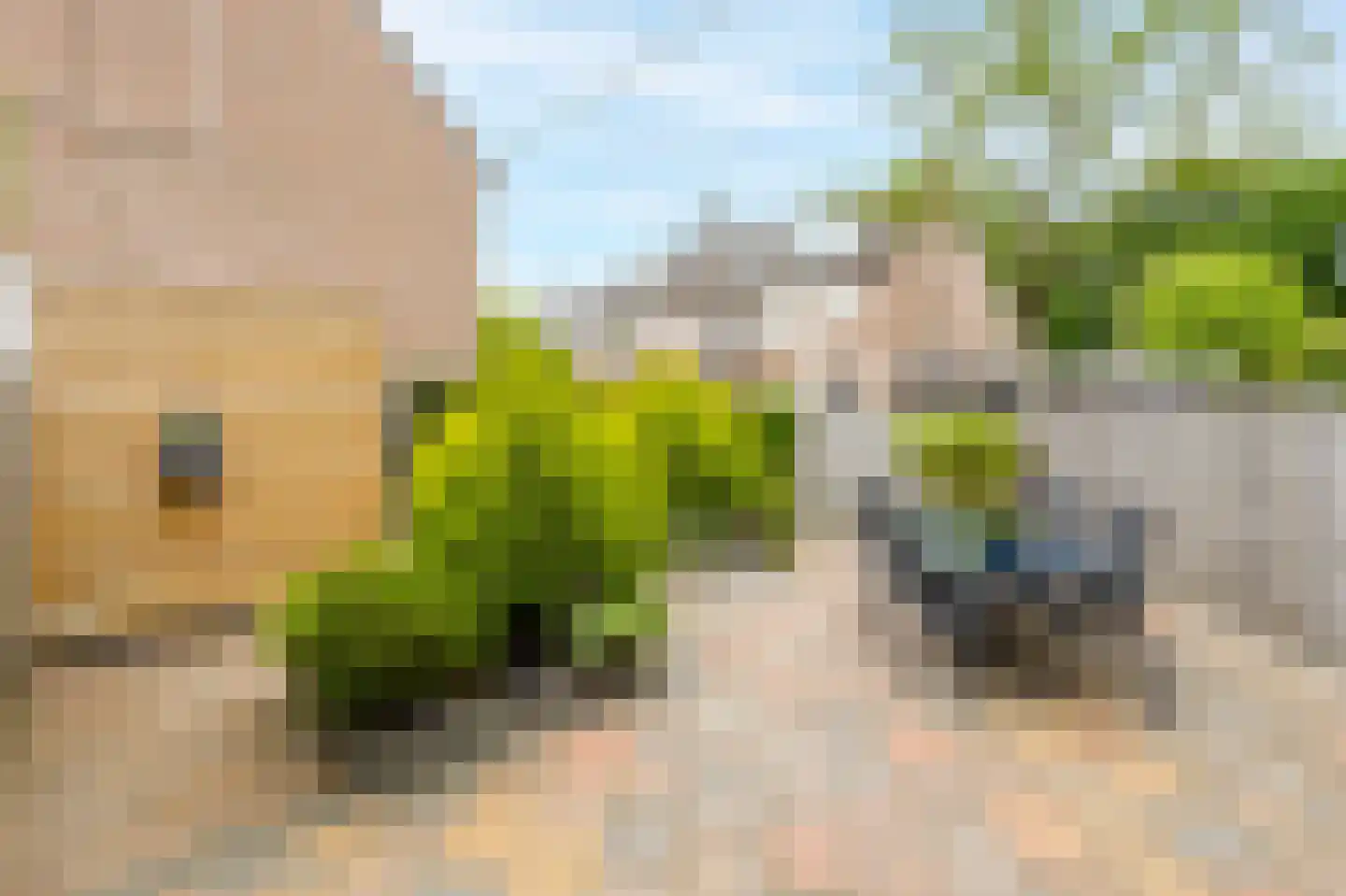 De Wiel 1 Sliedrecht thumbnail 19