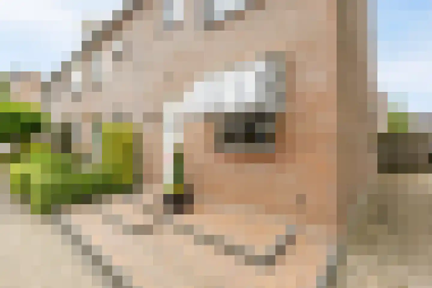 De Wiel 1 Sliedrecht thumbnail 22