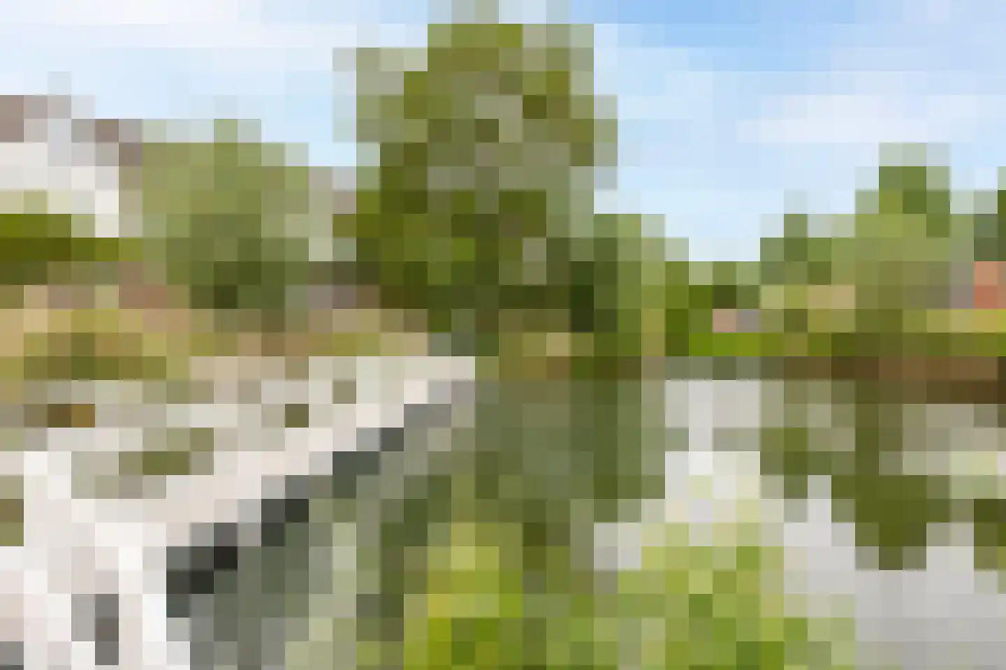 De Wiel 1 Sliedrecht thumbnail 23