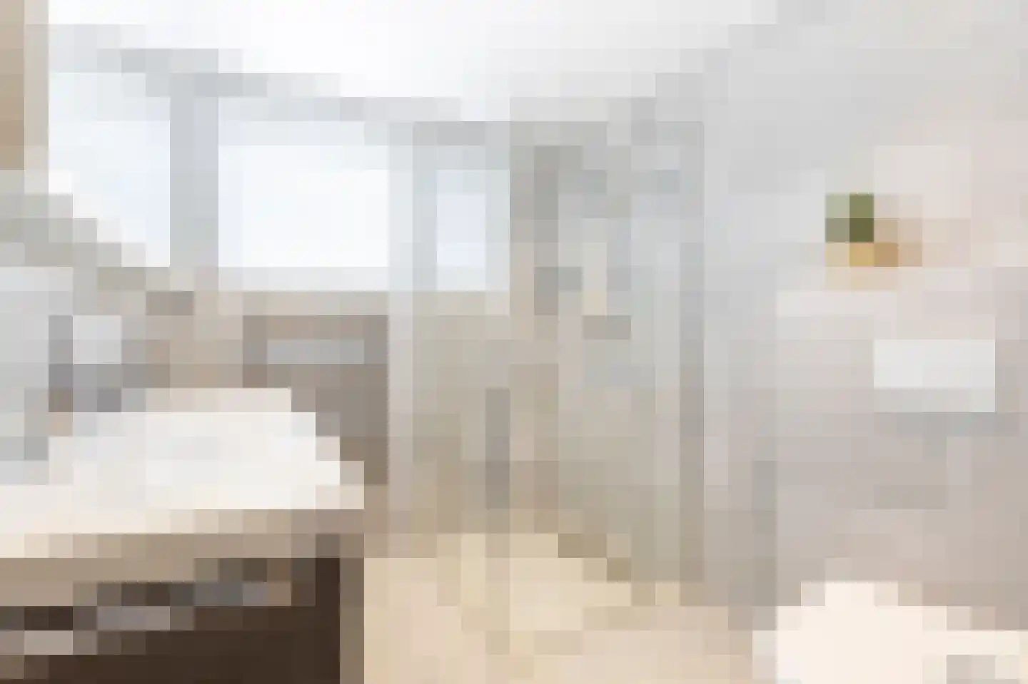 De Wiel 1 Sliedrecht thumbnail 9