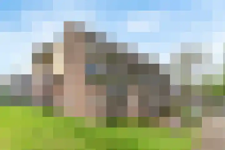 De Wiel 150 Sliedrecht