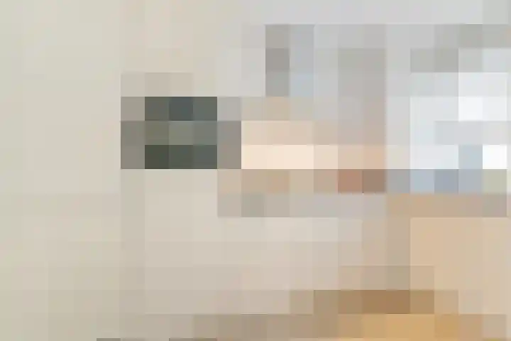 De Wiel 150 Sliedrecht thumbnail 10