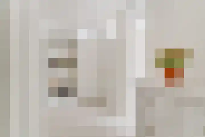 De Wiel 150 Sliedrecht thumbnail 14