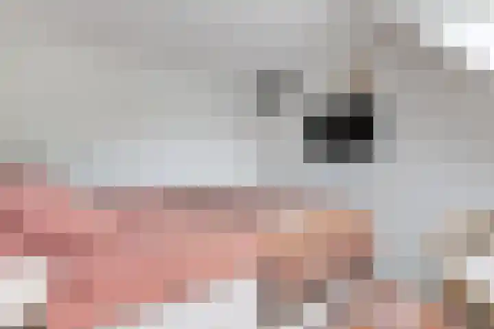 De Wiel 150 Sliedrecht thumbnail 16