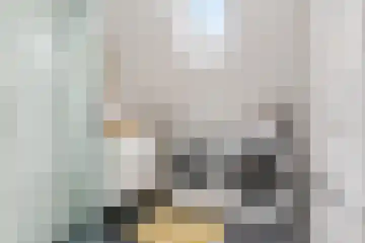 De Wiel 150 Sliedrecht thumbnail 20
