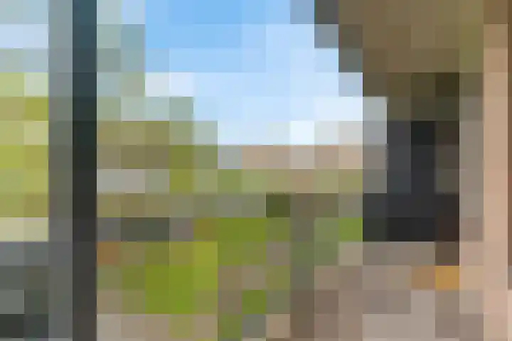 De Wiel 150 Sliedrecht thumbnail 21