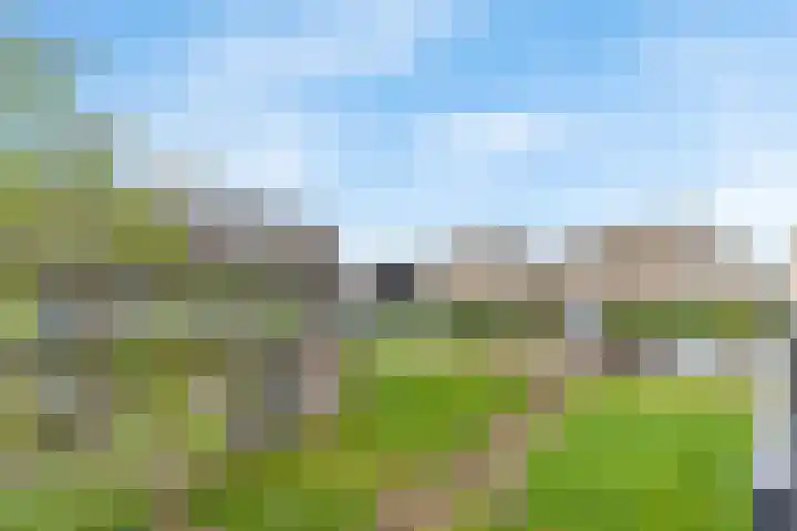 De Wiel 150 Sliedrecht thumbnail 22