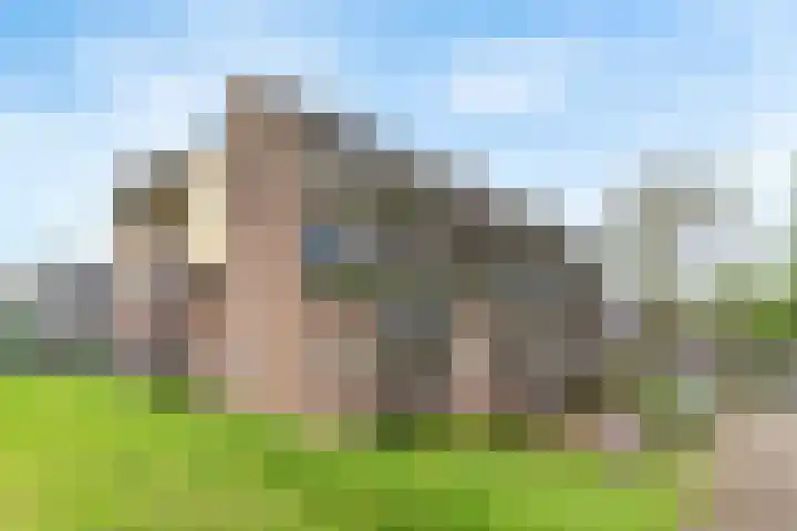 De Wiel 150 Sliedrecht thumbnail 29