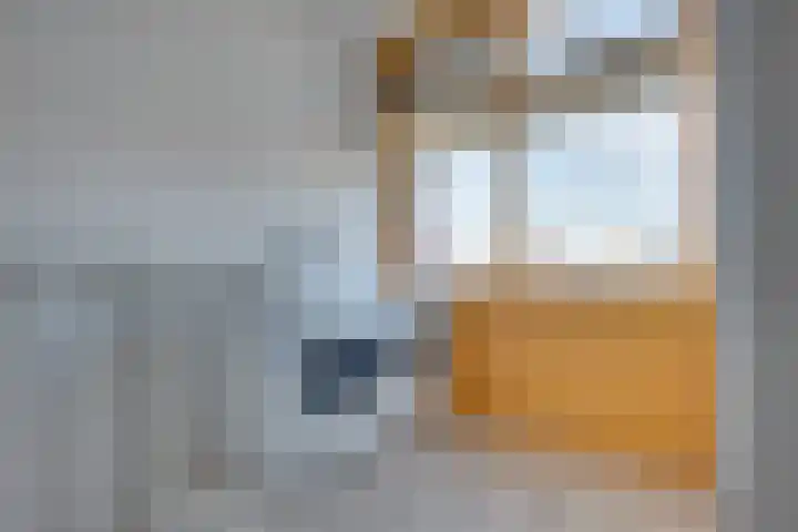 De Wieldam 17 Rosmalen thumbnail 20