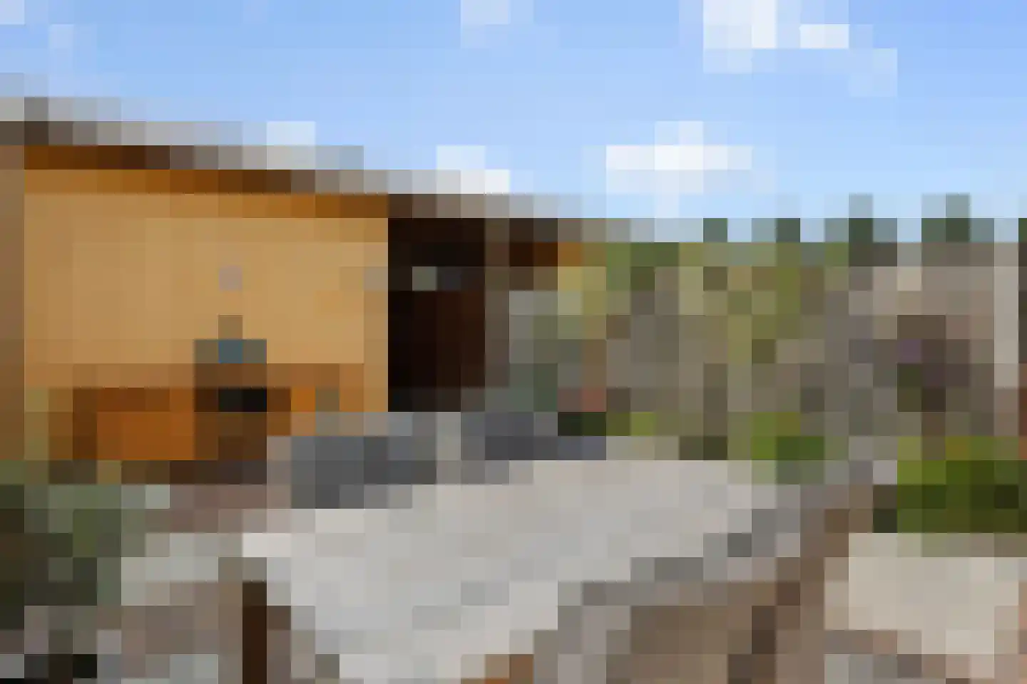 De Wieldam 17 Rosmalen thumbnail 25