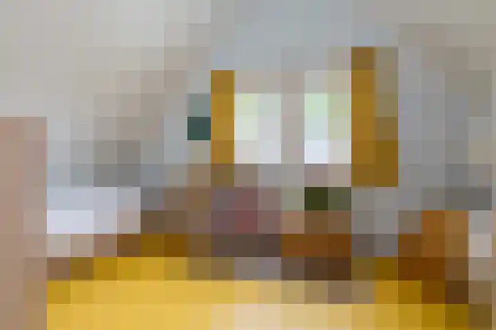De Wielen 21 Sint Maarten thumbnail 21