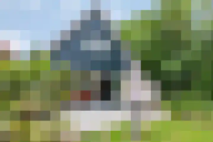 De Wielen 21 Sint Maarten thumbnail 27