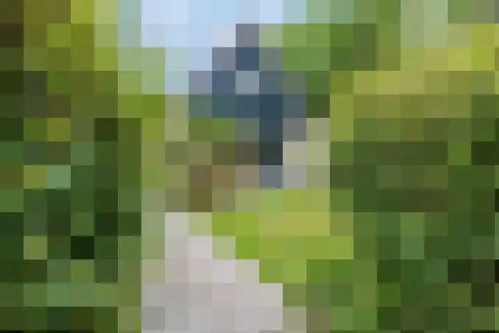 De Wielen 21 Sint Maarten thumbnail 28