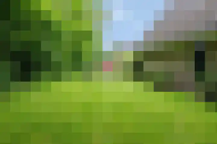 De Wielen 21 Sint Maarten thumbnail 29