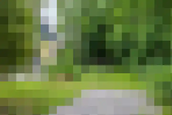 De Wielen 21 Sint Maarten thumbnail 30