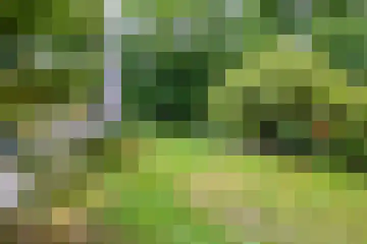 De Wielen 21 Sint Maarten thumbnail 31