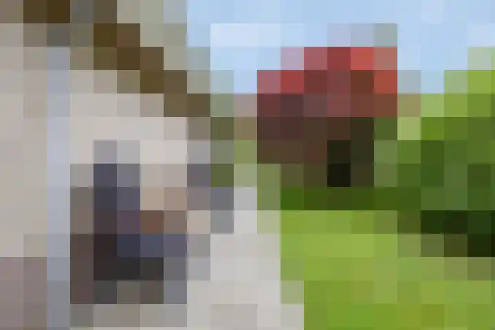 De Wielen 21 Sint Maarten thumbnail 32