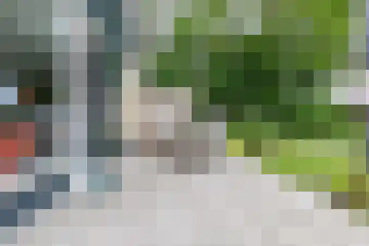 De Wielen 21 Sint Maarten thumbnail 33