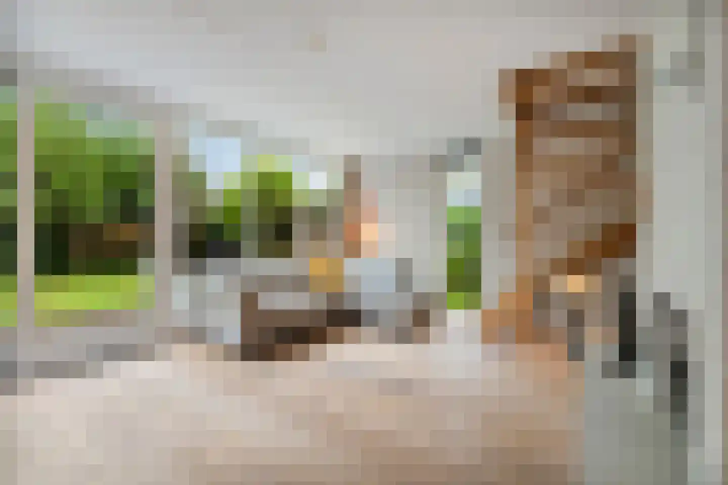 De Wielen 3 Sint Maarten thumbnail 10