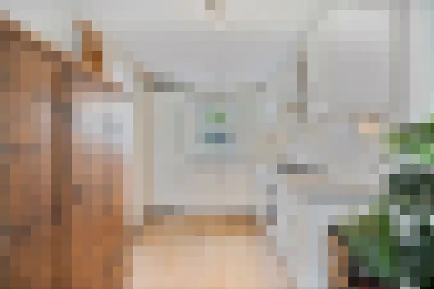 De Wielen 3 Sint Maarten thumbnail 15
