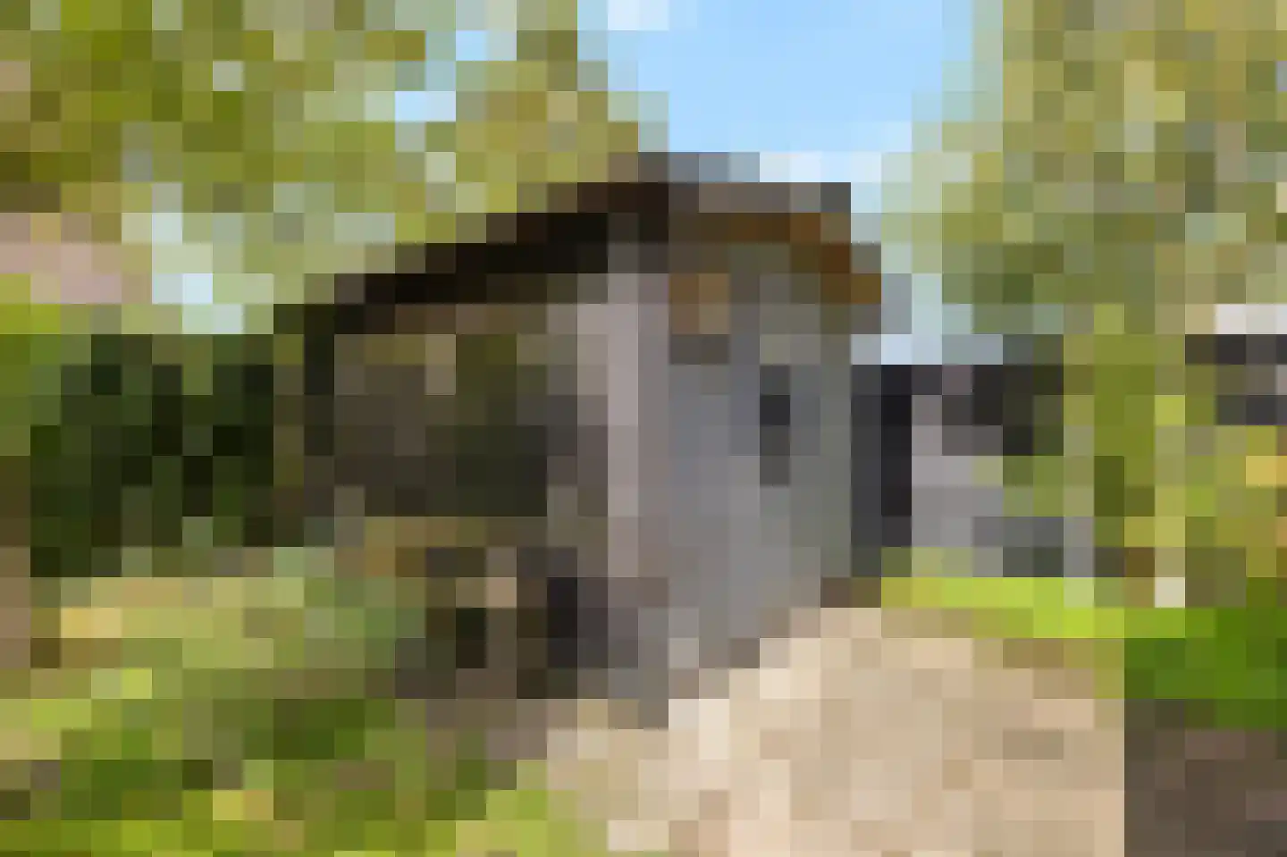 De Wielen 3 Sint Maarten thumbnail 28