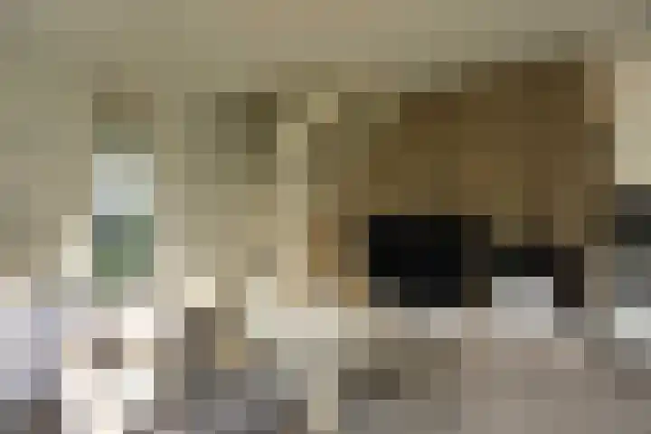 De Wielen 36 Sint Maarten thumbnail 10