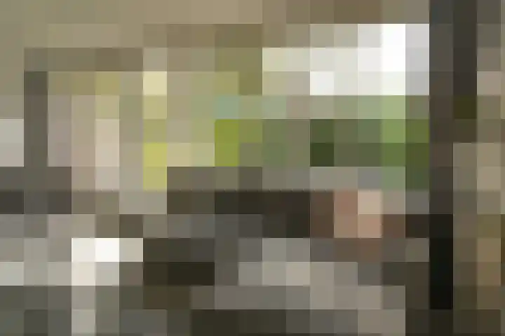 De Wielen 36 Sint Maarten thumbnail 5