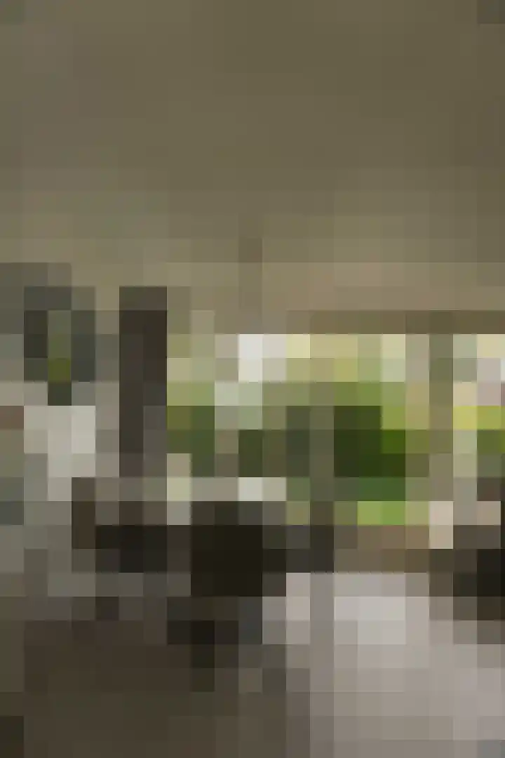 De Wielen 36 Sint Maarten thumbnail 7