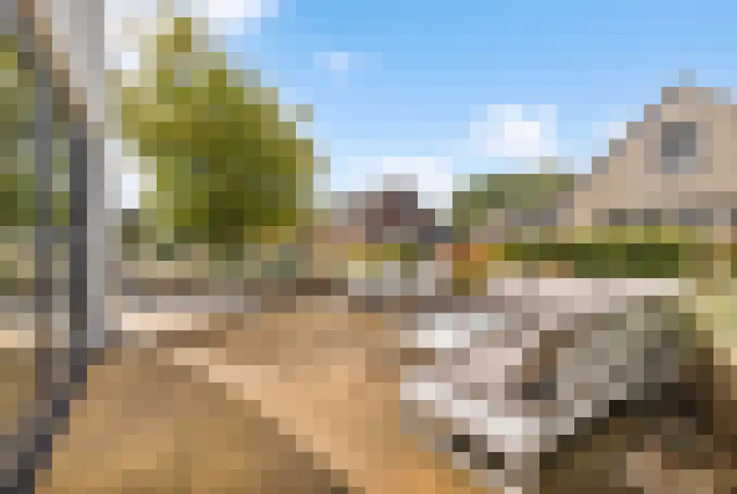 De Wielen 55 Sint Maarten thumbnail 38