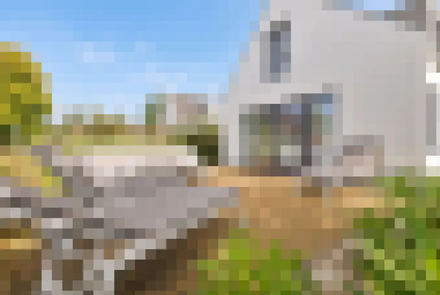 De Wielen 55 Sint Maarten thumbnail 39