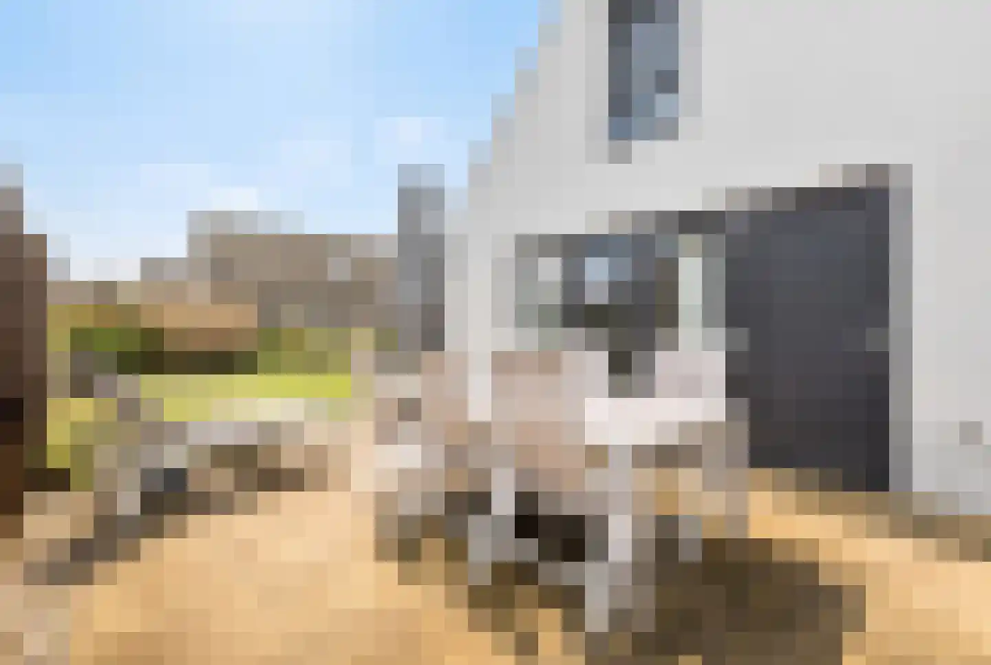 De Wielen 55 Sint Maarten thumbnail 40