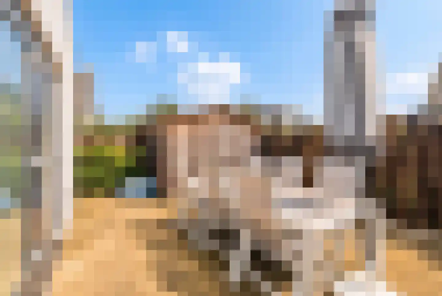 De Wielen 55 Sint Maarten thumbnail 41