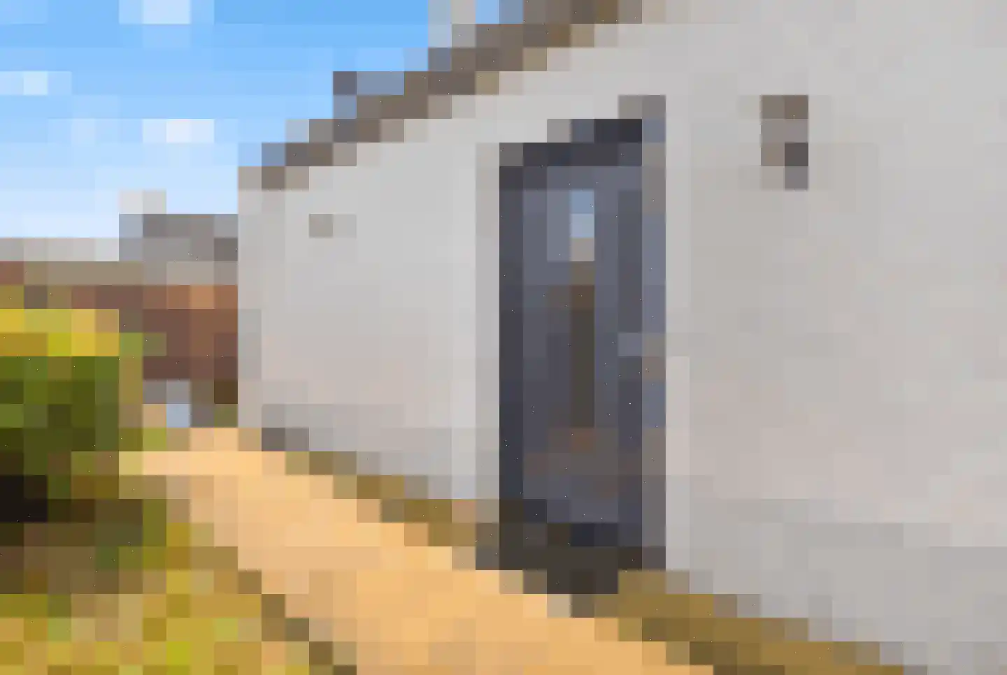De Wielen 55 Sint Maarten thumbnail 45