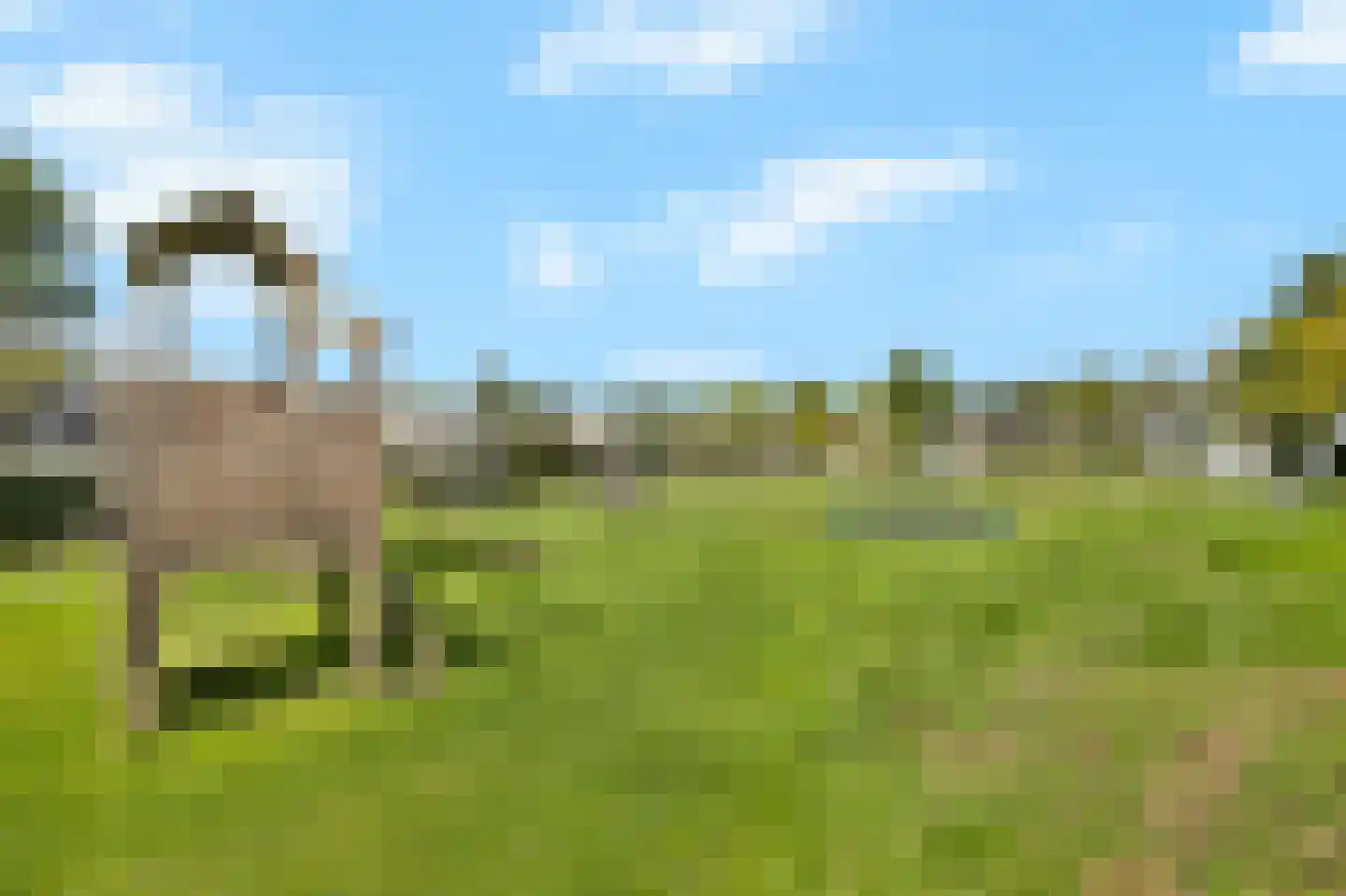 De Wielen 55 Sint Maarten thumbnail 47